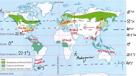 which five forests are located in the southern hemisphere.